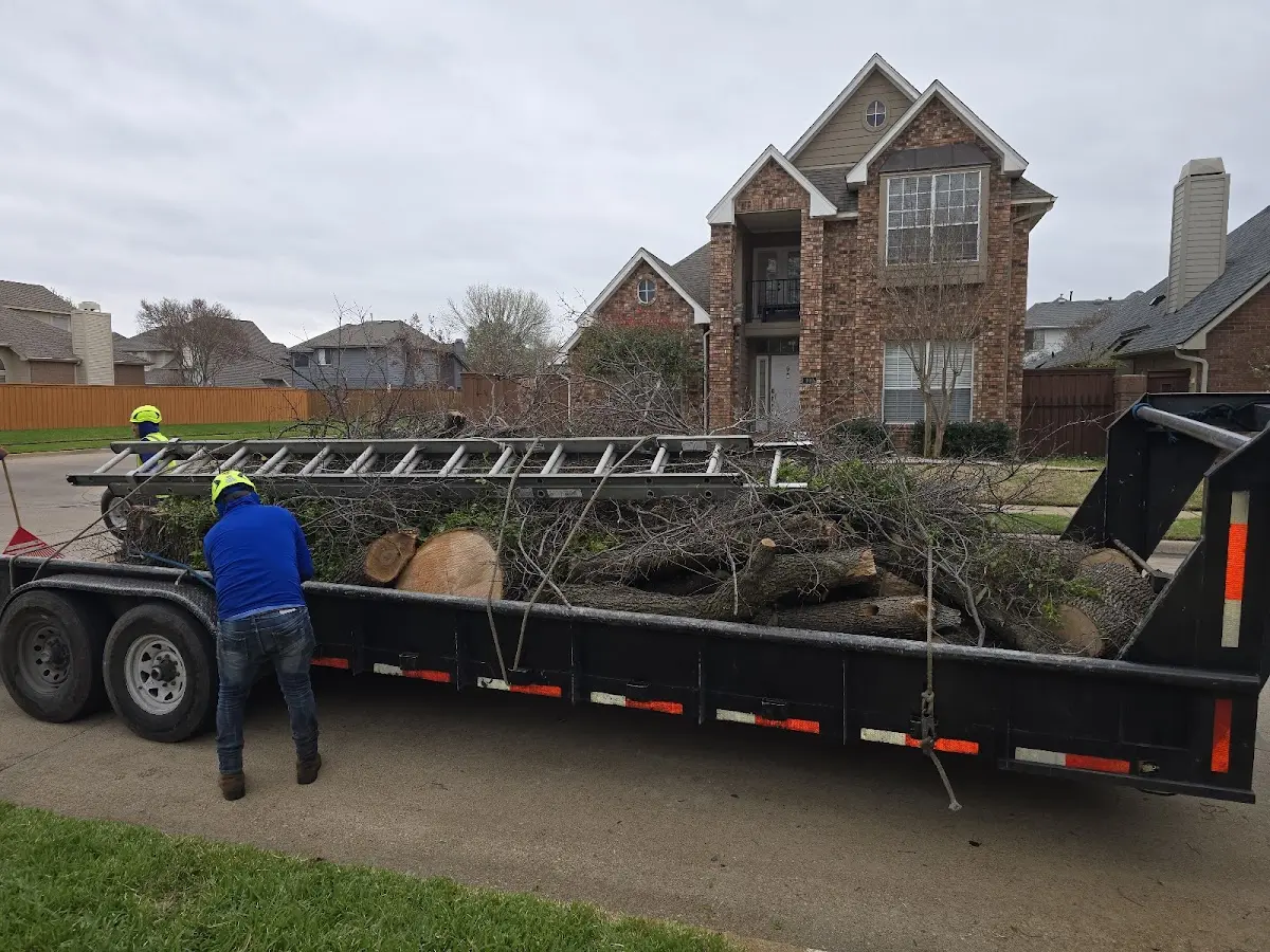 Expert Lot Clearing with proper safety equipment in Bismarck